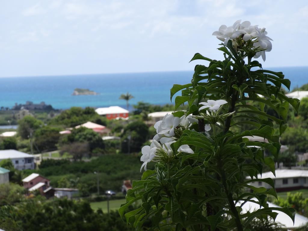 Holiday Home Belvedere Dickenson Bay Exterior foto